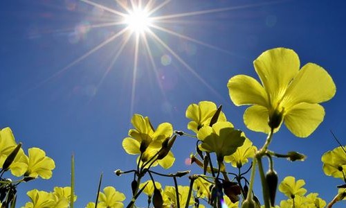 Véspera de feriado tem tempo aberto em Franca e temperaturas mais altas