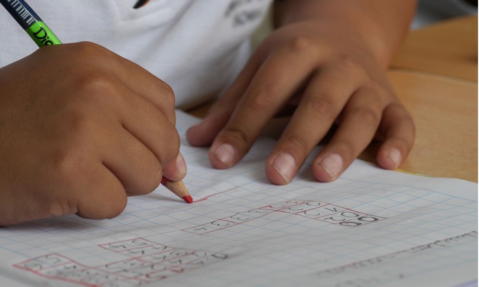 Escolas municipais de Franca têm atividades pedagógicas à distância