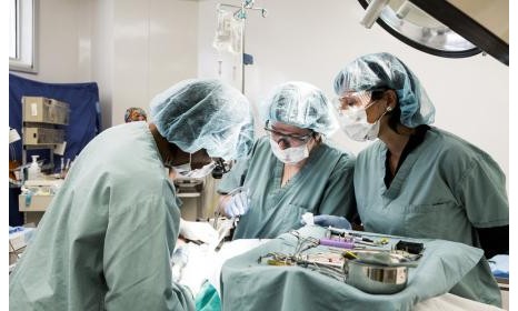 Para prevenir infecções pela Covid-19, Anvisa recomenda suspender cirurgias eletivas