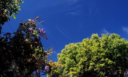 Tempo permanece estável em Franca nesta quarta-feira, 06: sol predominará