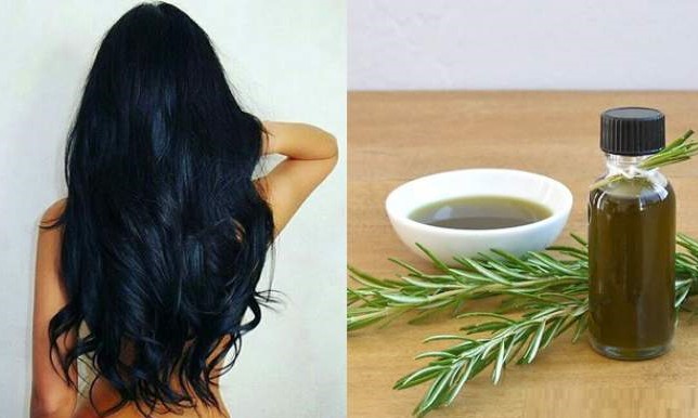 Quer acabar com os cabelos brancos de forma natural? Use alecrim! Saiba como