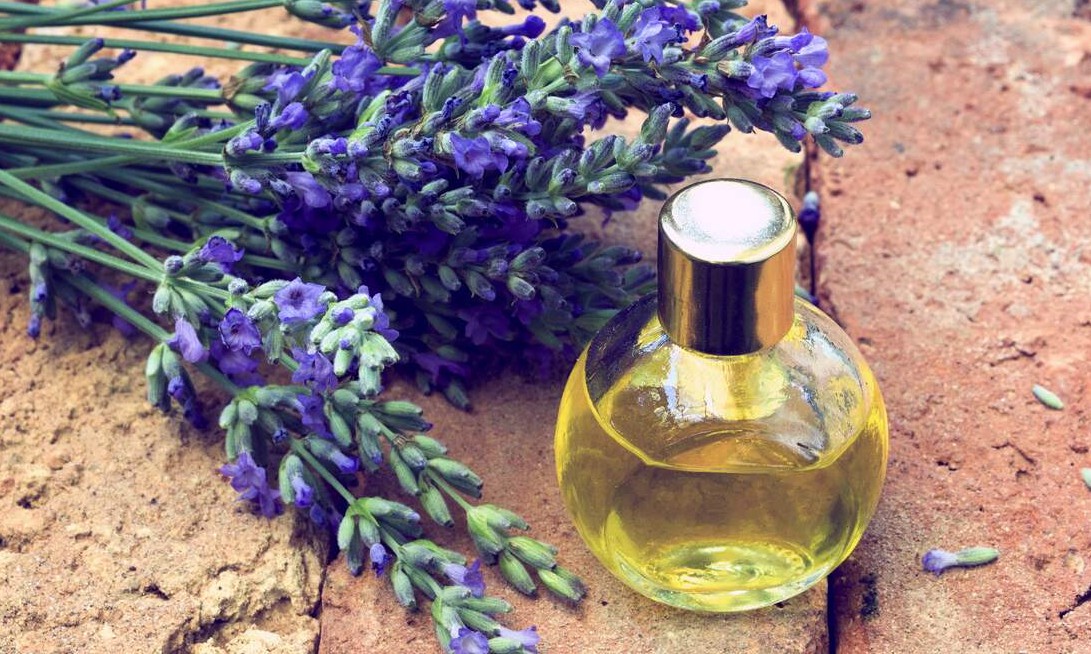 Como fazer aromatizador de ambiente caseiro e deixar a casa perfumada