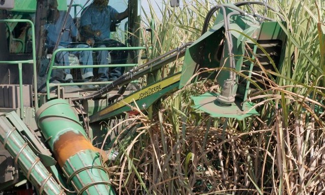Indústria de cana se vê à beira do colapso e quer imposto maior para gasolina