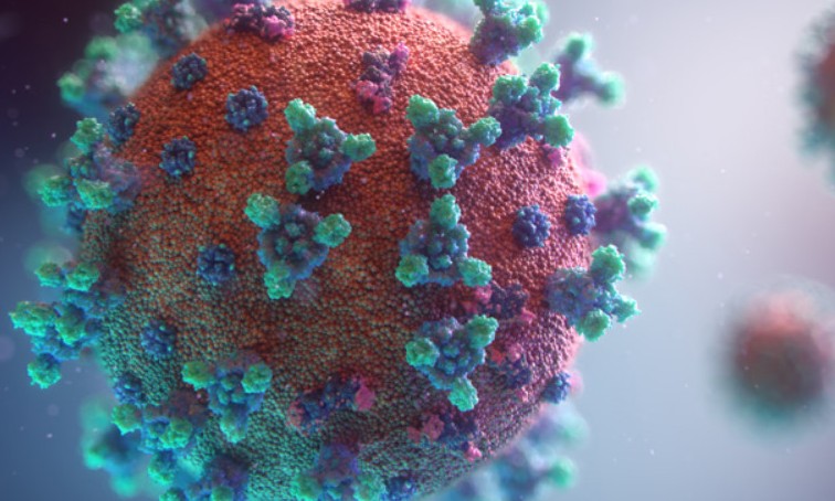 Estúdio gráfico mostra animação 3D fielmente precisa do Covid-19
