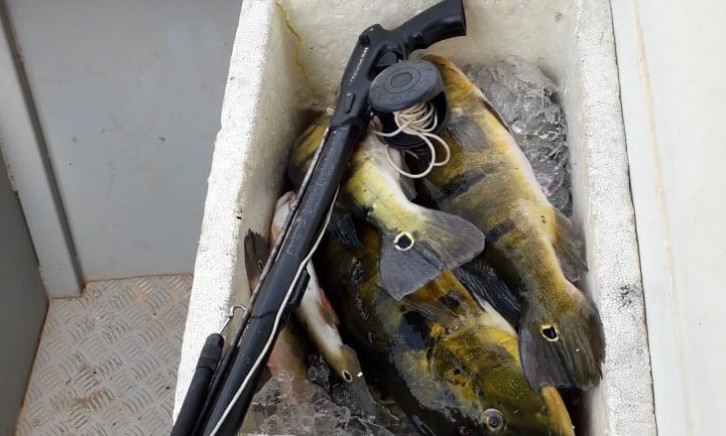 Pesca de arpão em Rifaina ameaça matrizes de peixe na represa de Jaguara