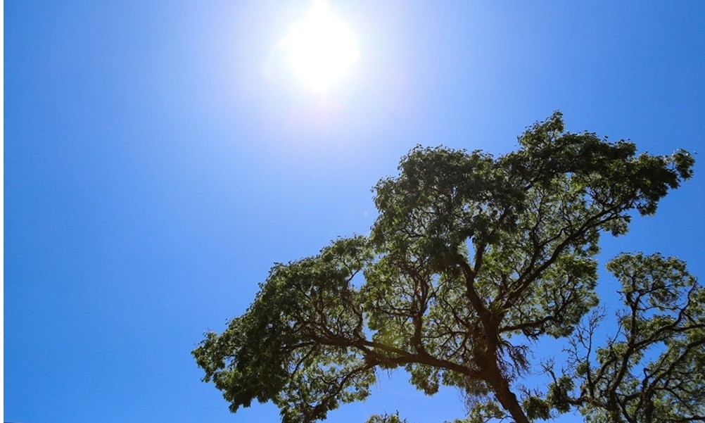 Mesmo com o frio, umidade relativa do ar continua caindo em Franca hoje (26)