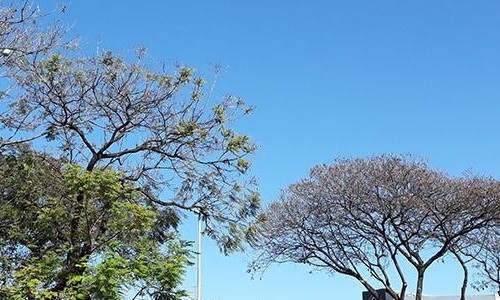 Temperatura começa a subir em Franca, mas umidade do ar despenca nesta sexta, 29