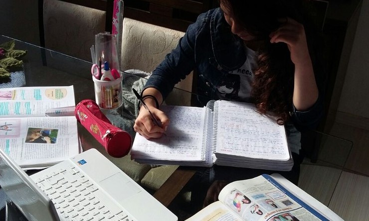 Reforço: Plataforma gratuita ajuda estudantes na preparação para o Enem