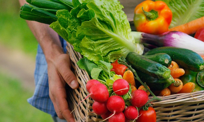 Venda de orgânicos cresce na pandemia com produtores oferecendo delivery