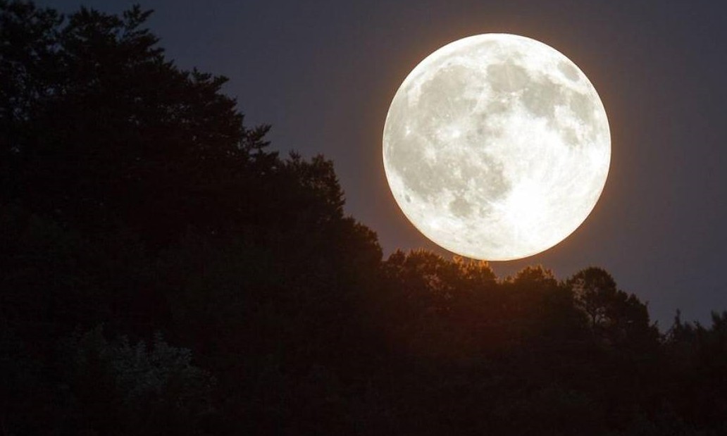 Superlua aparece pela última vez em 2020 nesta quinta, 07 – confira o horário