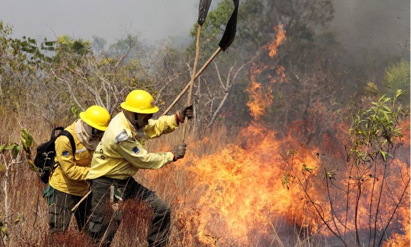 Trabalho: Ibama contratará 1,4 mil brigadistas para atender as emergências