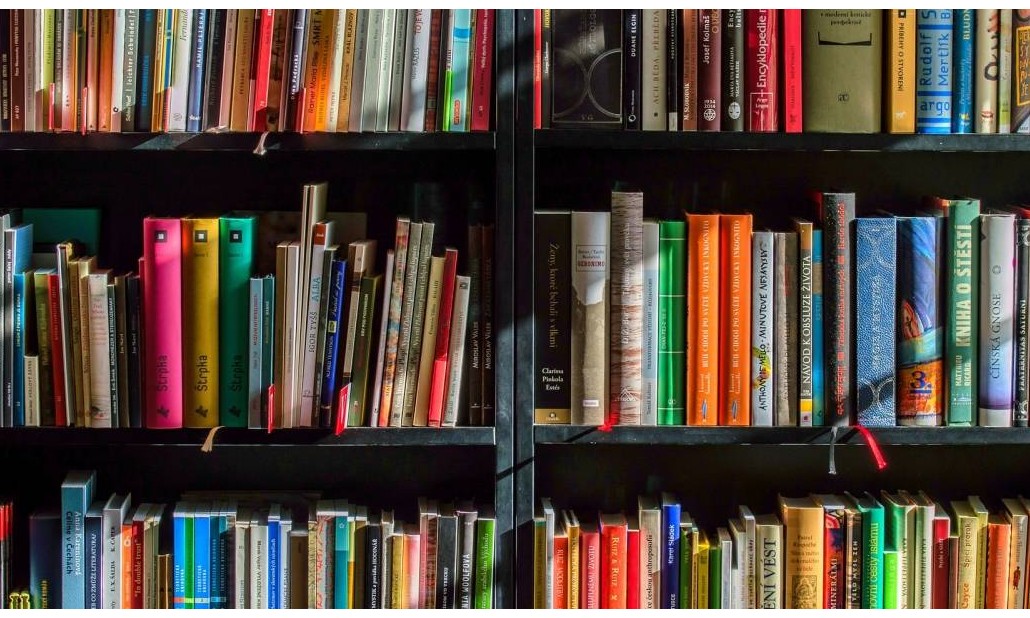 Uma lista de 6 livros que podem te ajudar a superar a crise nos negócios. Veja