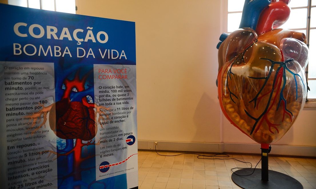 Cartório está registrando aumento nas mortes por doenças cardiovasculares