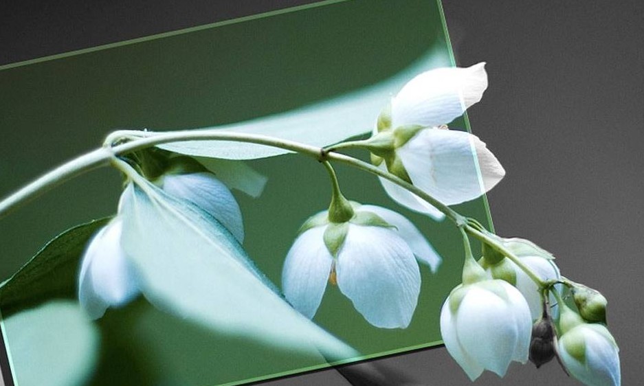 Quer aprender a editar e criar imagens e ainda de graça? Veja os detalhes