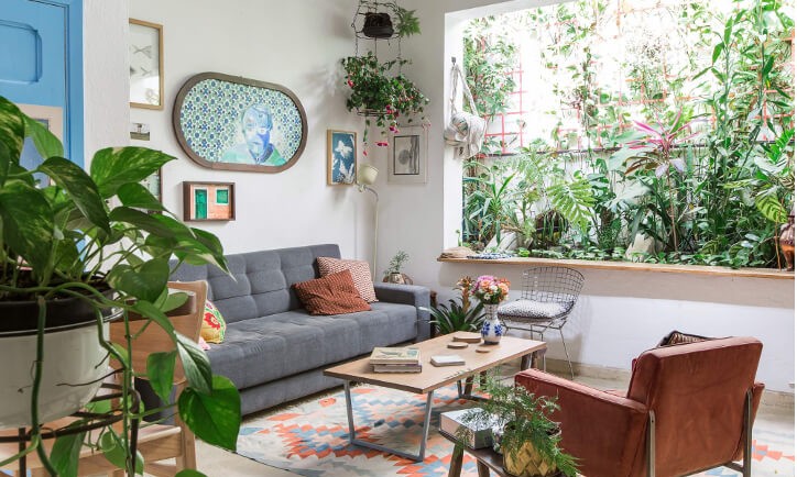 Plantas dentro de casa: aqui está o que você precisa saber antes do inverno