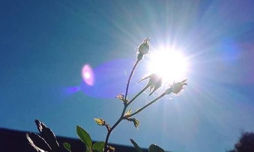 Temperaturas mais altas e tempo menos seco marcam a quinta-feira, 04, em Franca