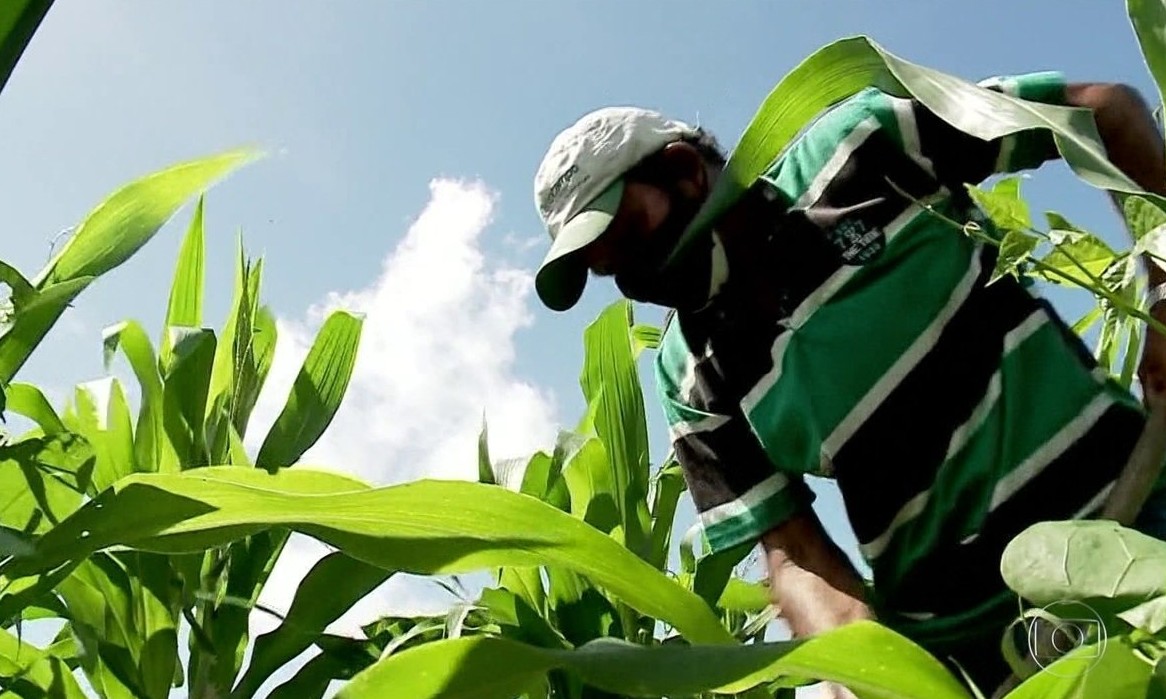 Câmara dos Deputados planeja auxílio emergencial de até R$ 3 mil a agricultores