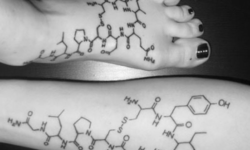 Hormônio do amor pode prevenir surgimento de osteoporose: Saiba como
