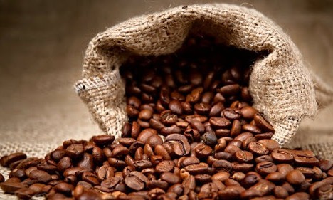 IBGE reduz estimativa de safra de café do Brasil em 2020: 57,3 milhões de sacas