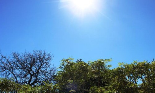 Domingo será de sol e calor em Franca: Previsão também indica tempo seco