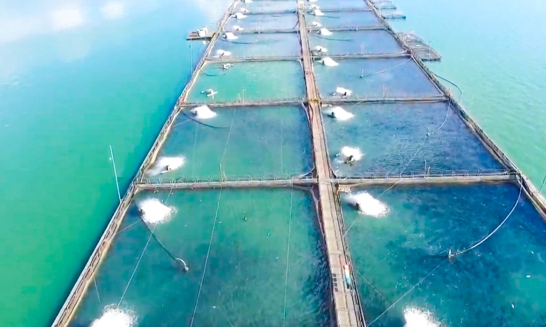 Fábrica de óleo e farinha de peixe na região de Franca terá 100 empregos