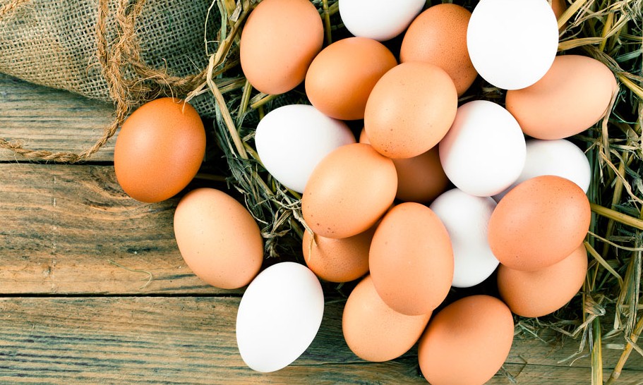 Farinha de casca de ovo fortalece ossos e enche o corpo de cálcio: Veja como