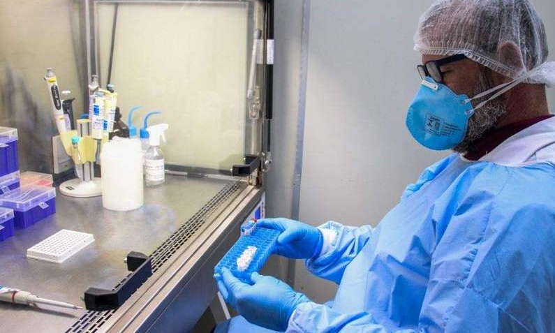 Covid-19: Laboratórios privados de SP terão que divulgar resultados de testes