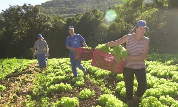 Câmara aprova auxílio emergencial para agricultor familiar na pandemia