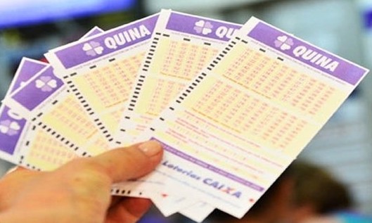 Quina continua acumulada e pode sortear nesta sexta, 10, R$ 11,5 milhões
