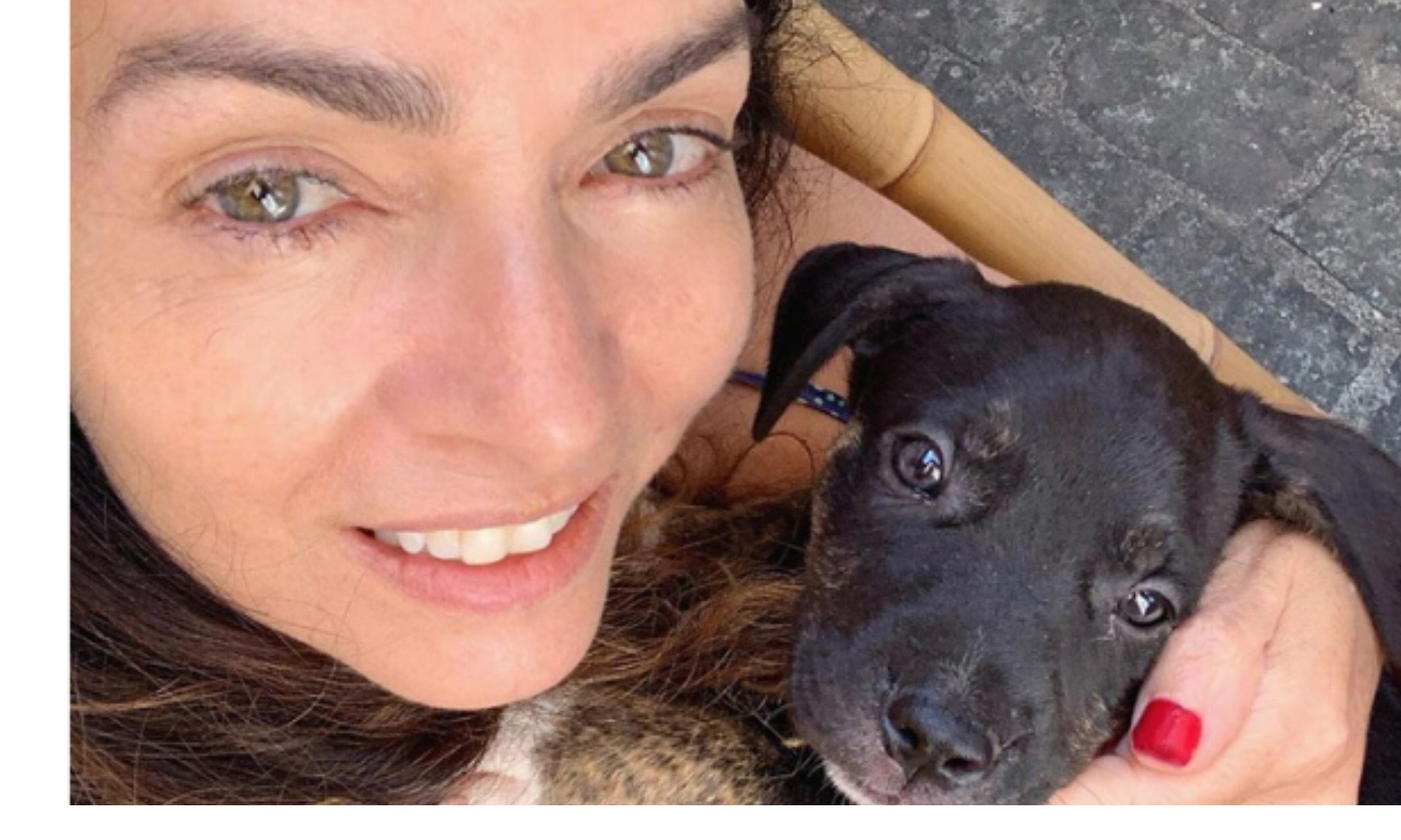 Claudia Ohana causa revolta após devolver cachorros para ONG