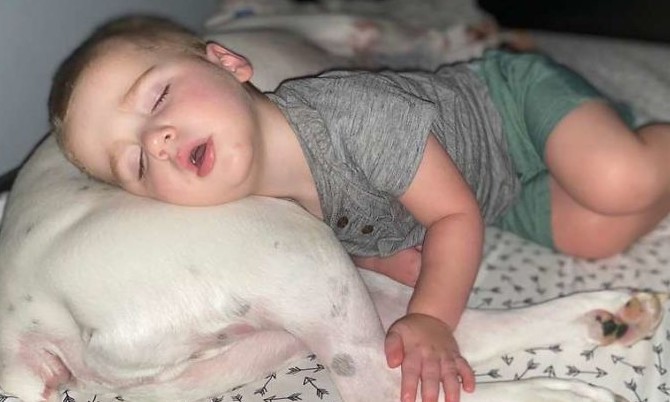Mãe flagra como garotinho sai da cama e dorme com o cão toda noite no chão