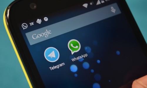 Violações de direitos humanos agora podem ser denunciadas via Telegram