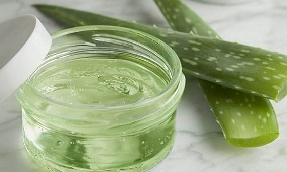 Desinfetante para as mãos com aloe vera é simples e fácil de fazer! Aprenda aqui
