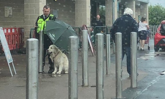 Segurança de mercado viraliza por proteger um cachorro durante a chuva