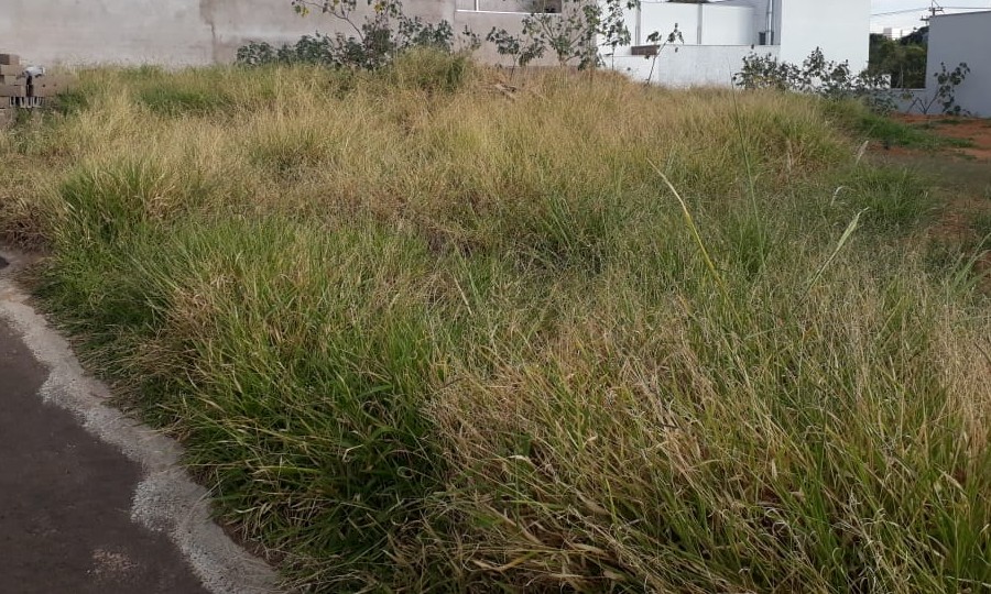 Prefeitura diz que terreno sujo gera multa de R$ 1,2 mil para o proprietário