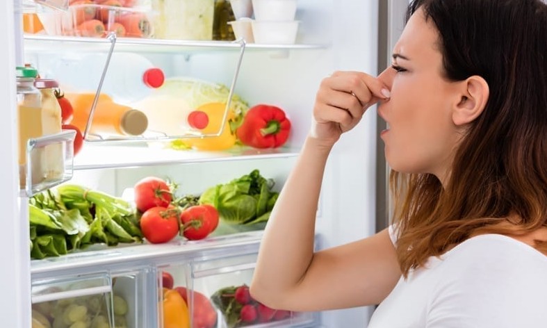 Mau cheiro na geladeira? Saiba como eliminá-lo com ingredientes naturais
