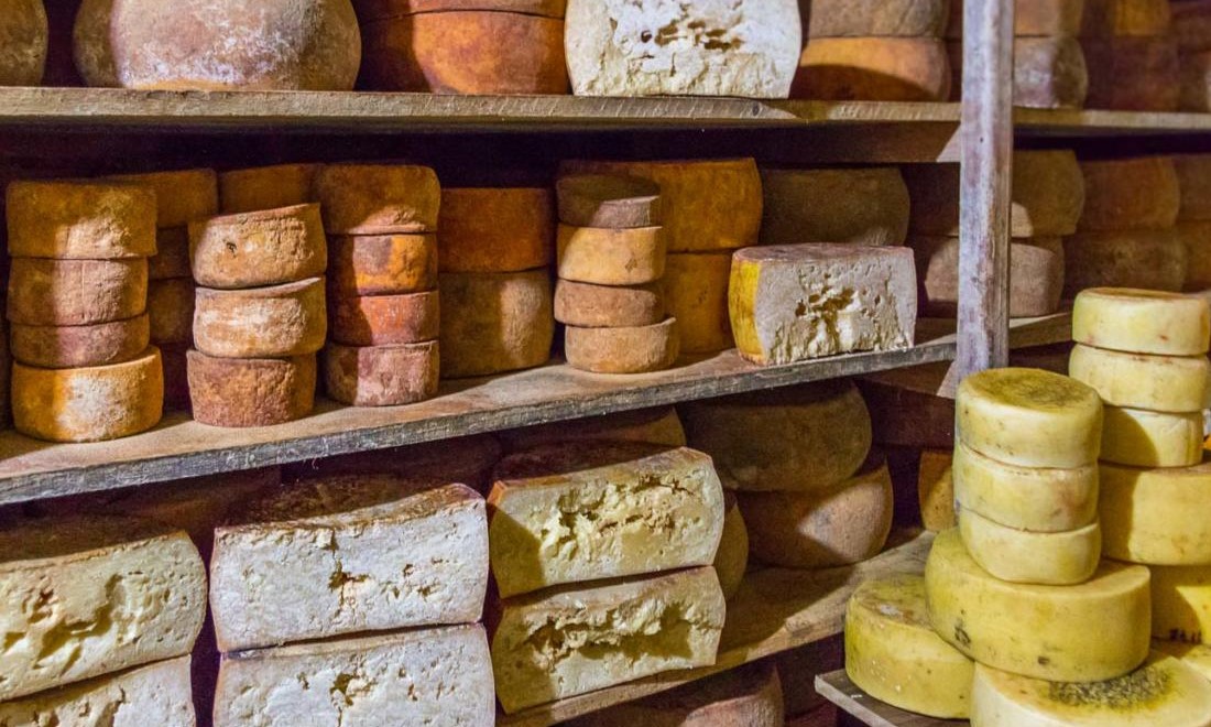 Produção de queijos artesanais no Estado de SP será mapeada por pesquisa