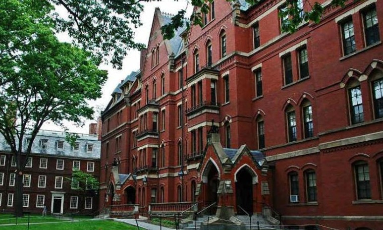 Curso mais popular de Harvard está disponível de graça e em português