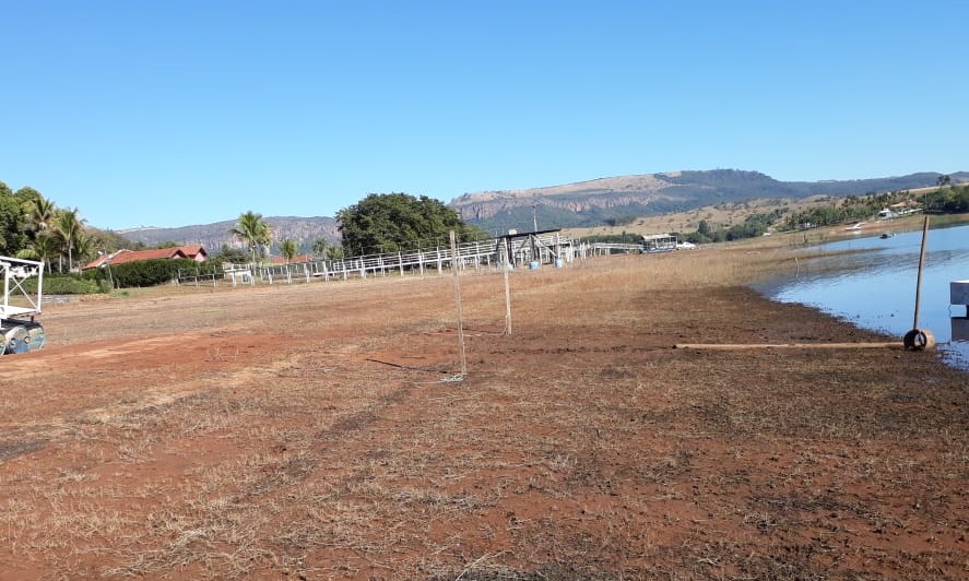 Nível da represa de Peixoto assusta rancheiros e moradores lindeiros