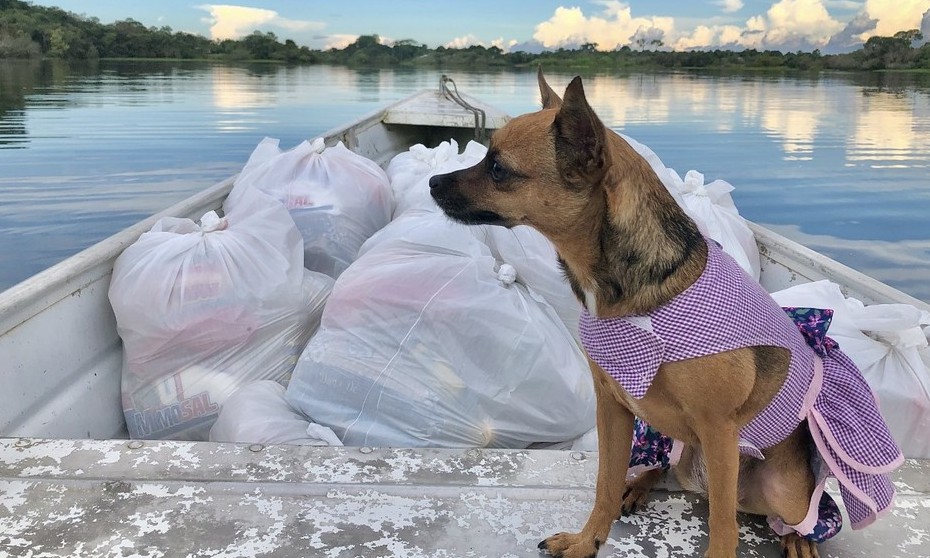 ‘Dog influencer’ Sarita distribui doações a comunidades ribeirinhas