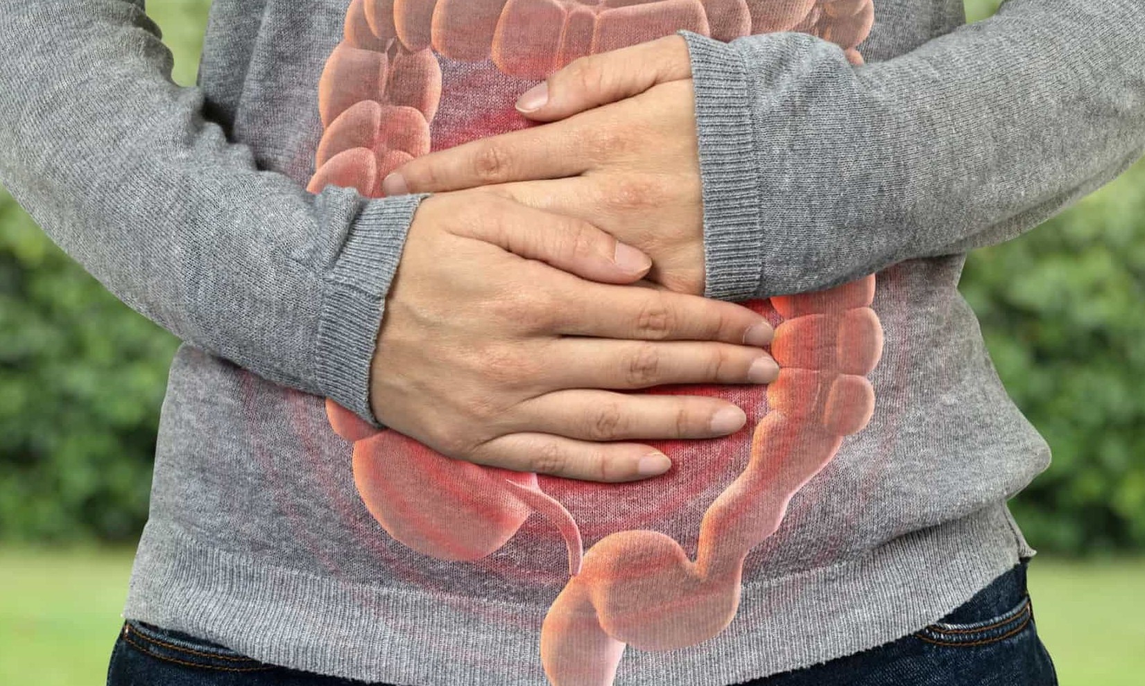 Pesquisadores afirmam que saúde intestinal está ligada à qualidade do ar