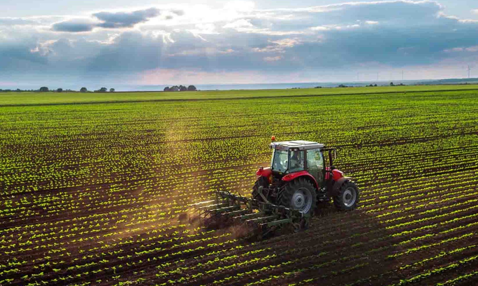 Governo do Estado de São Paulo libera R$ 26 milhões para o agronegócio