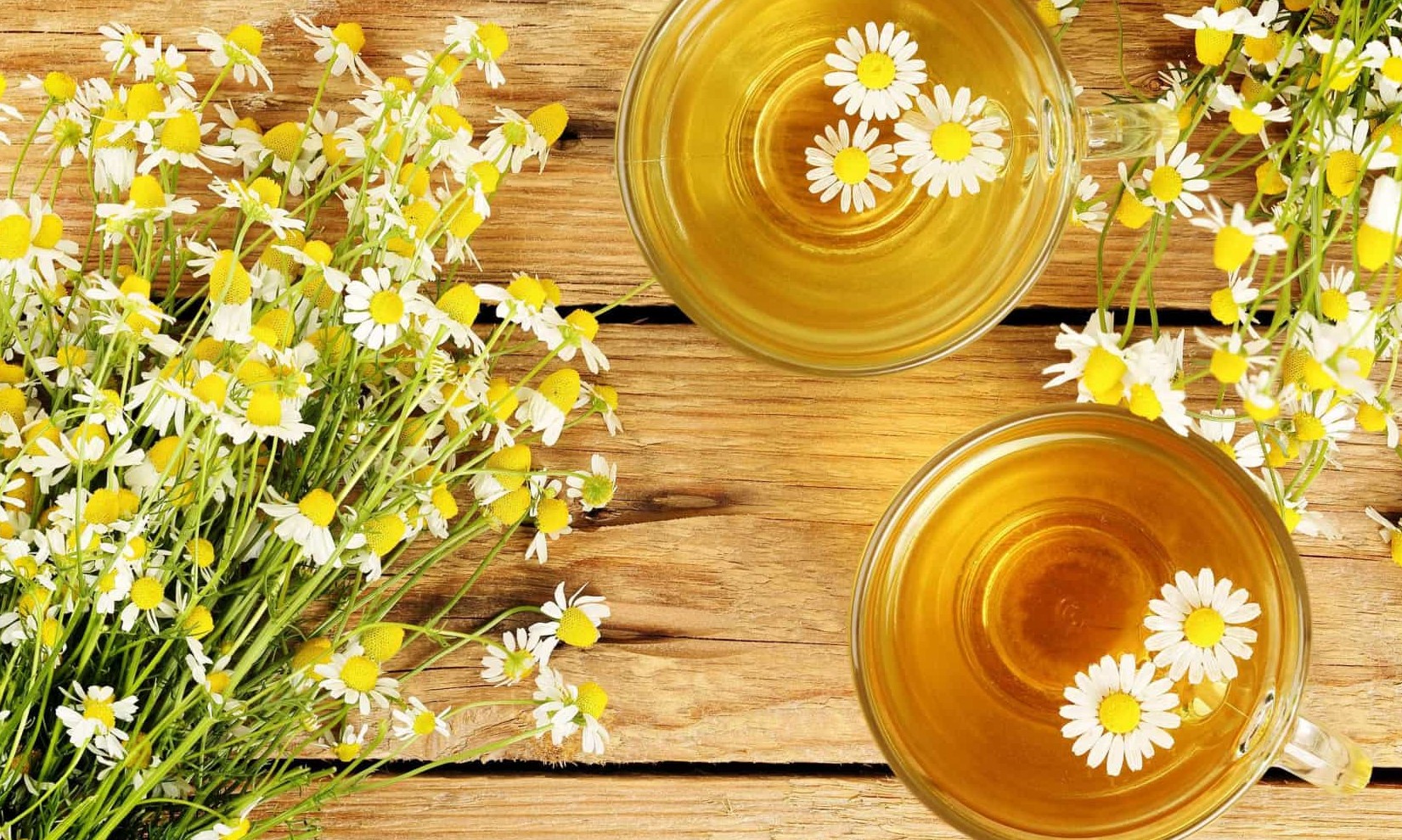 Insônia? Conheça as infusões que são calmantes naturais