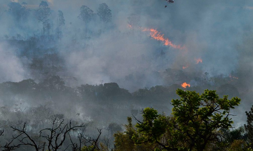 Estado de São Paulo já registra o pior ano para queimadas desde 2014