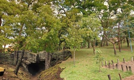 Acontece neste sábado o início das comemorações ao Dia da Árvore em Franca