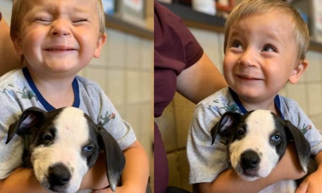 Fofo! Criança com lábio leporino adota cachorro com a mesma característica