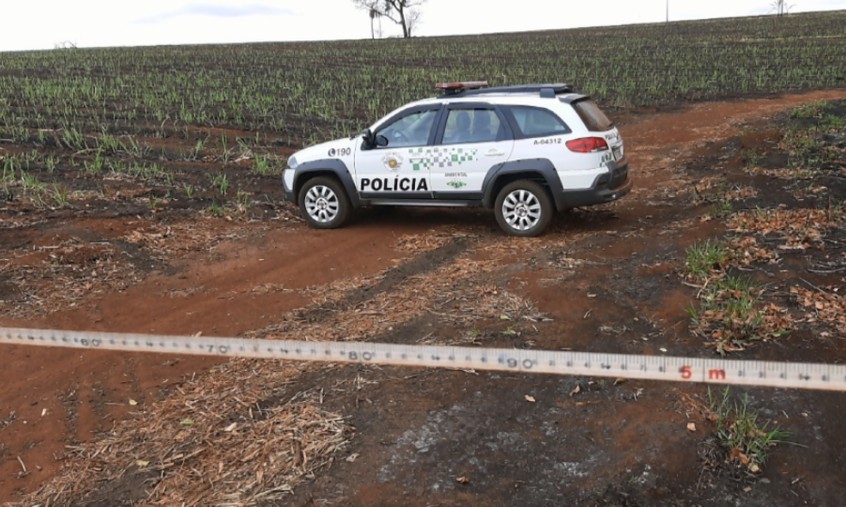 Polícia Ambiental de Franca faz balanço da operação Jequitibá