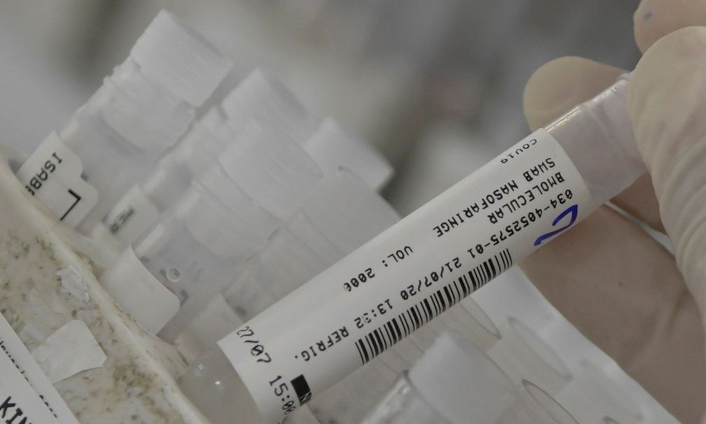 Há 14 dias, 321 municípios paulistas não registram óbitos por covid-19