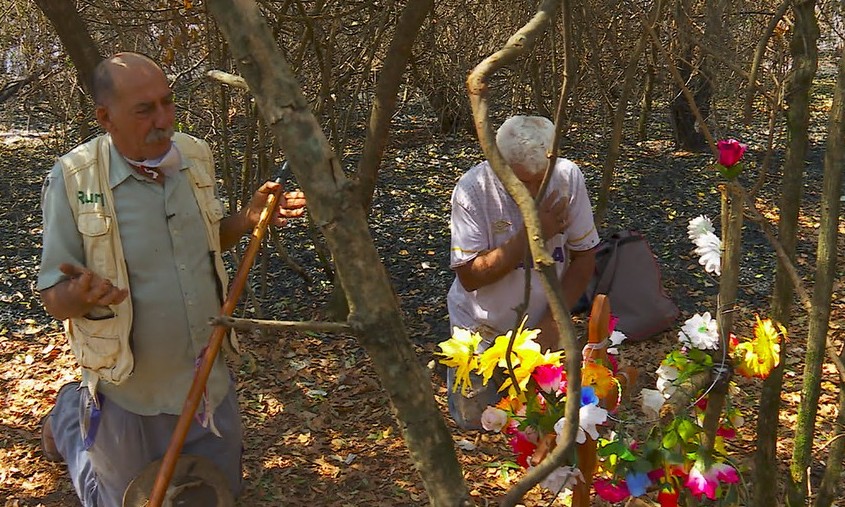 Altar em homenagem à Nossa Senhora fica intacto em mata destruída por fogo