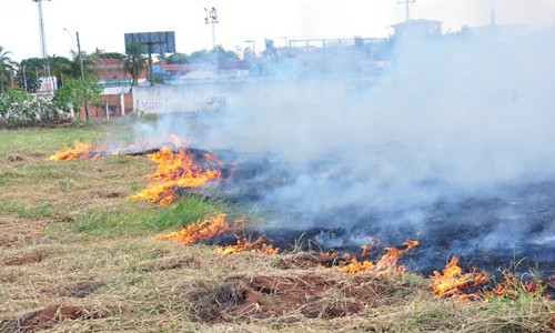 Queimada nas margens
da Av. São Vicente
assusta e revolta os moradores